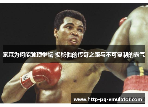 泰森为何能登顶拳坛 揭秘他的传奇之路与不可复制的霸气