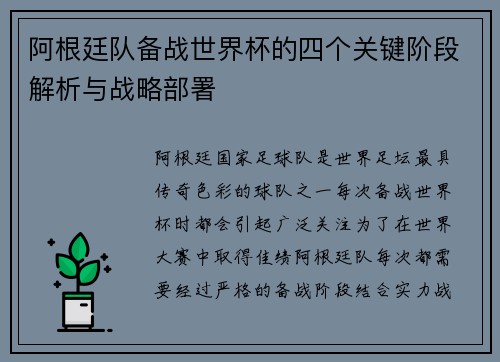 阿根廷队备战世界杯的四个关键阶段解析与战略部署